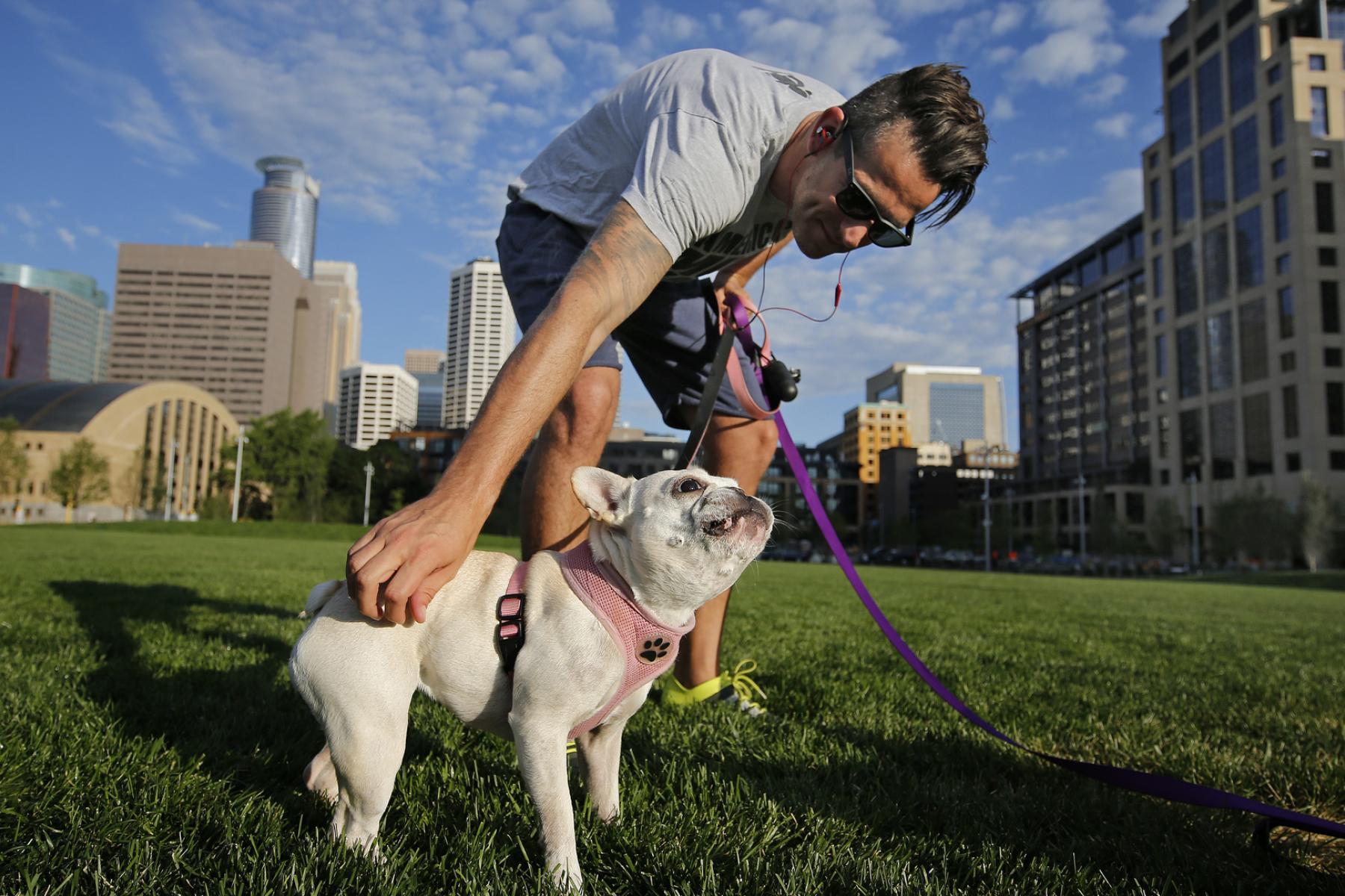 Super Bowl's Minneapolis Stadium Brings a Surge in Development - The New  York Times